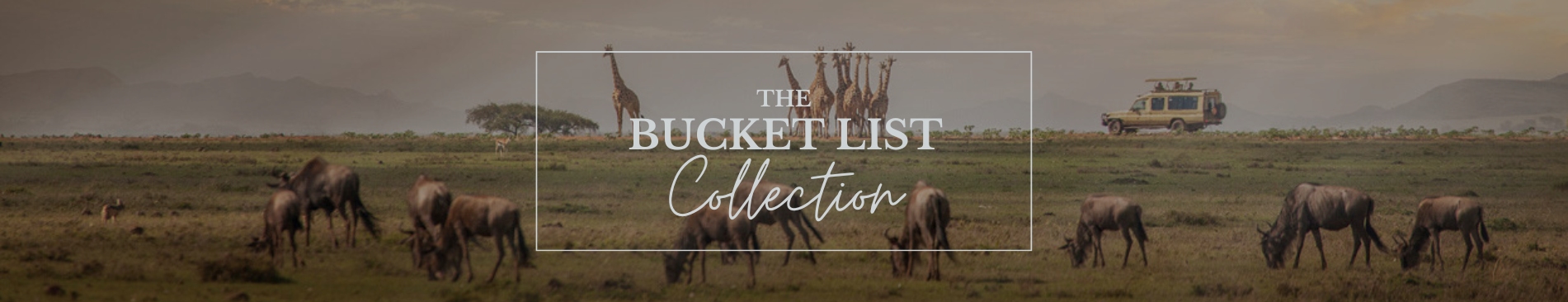 Bucket List Collection